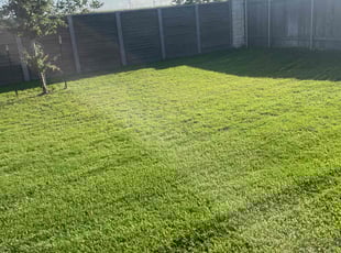 Michael D.'s lawn care service result