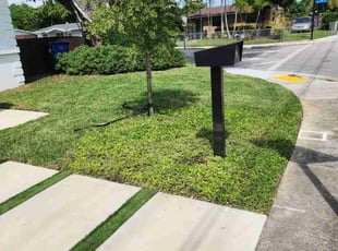 Elaine W.'s turf maintenance service result