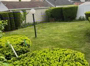 Lorraine A.'s lawn service service result