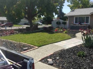 Ron O.'s turf care service result