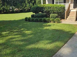 Michelle R.'s lawn care services service result