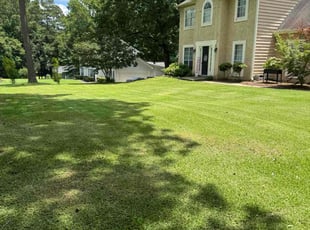 Francis T.'s lawn care services service result