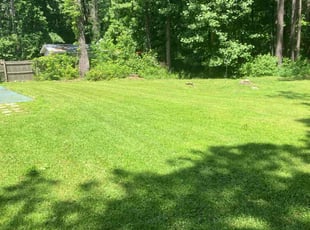Jerry D.'s grass maintenance service result