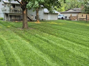 Dana G.'s turf maintenance service result