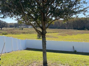 Susan W.'s Bush Trimming service result