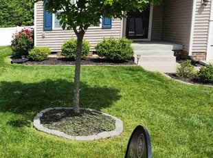 Desiree B.'s turf maintenance service result