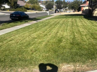 Del C.'s grass maintenance service result