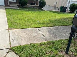 Tasheena J.'s grass cutting service result