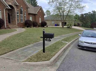 Nichole O.'s grass cutting service result