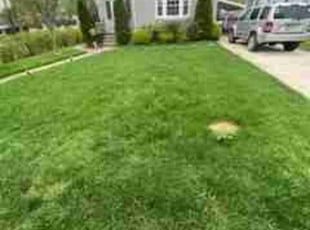 Keith M.'s lawn service service result
