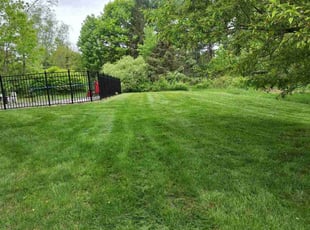 Ben M.'s grass maintenance service result