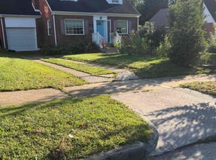 Shawn M.'s lawn service service result