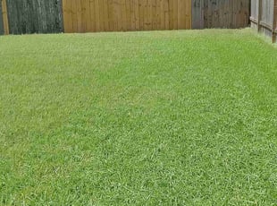 Jay H.'s lawn maintenance service result