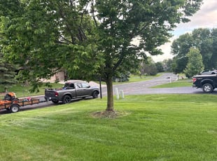 Lynn T.'s lawn maintenance service result