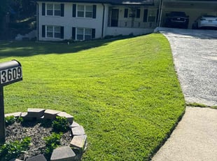 Scott M.'s lawn care service result