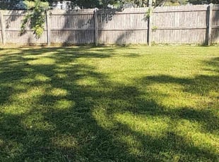 Vicki B.'s lawn care service result
