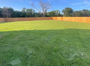 Javier T.'s Long Grass Cleanup service result