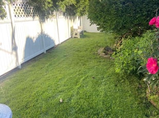 Norman R.'s lawn maintenance service result