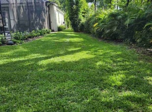 Sara K.'s grass cutting service result