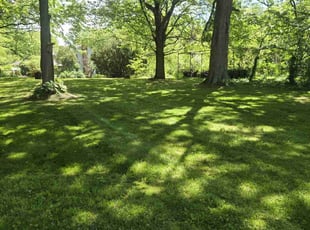 Stephen R.'s lawn care service result