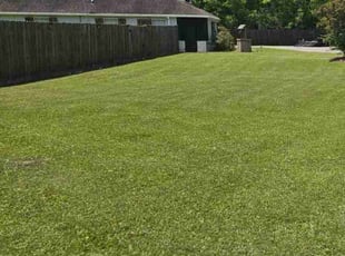 Sam M.'s grass cutting service result