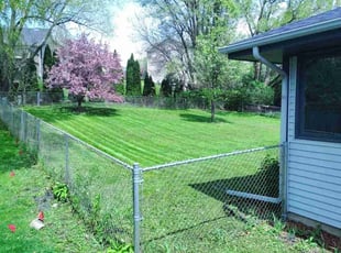 Leider C.'s turf maintenance service result