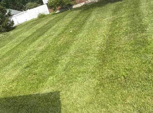 Courtney R.'s lawn care services service result