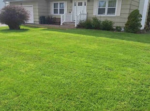 Bonita W.'s lawn care services service result