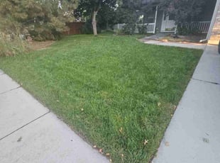 John S.'s grass cutting service result