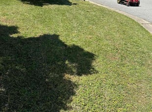 Joe B.'s lawn service service result