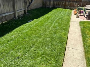 Sonya D.'s turf maintenance service result