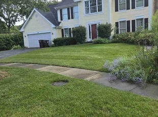 Dave W.'s grass maintenance service result