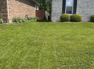 Jamie K.'s lawn maintenance service result