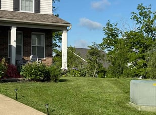 Tom M.'s turf maintenance service result