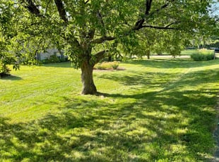 Paul A.'s lawn service service result