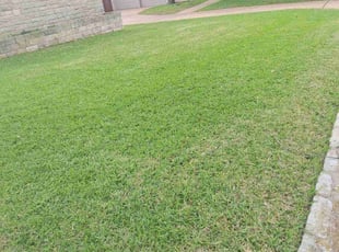 Dean H.'s turf maintenance service result