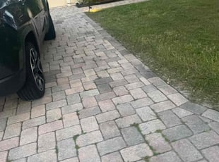 Ding Y.'s lawn service service result