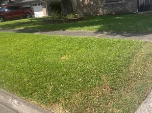 Kim D.'s turf maintenance service result