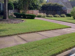 Jason J.'s turf care service result