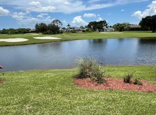 Alex C.'s lawn care service result