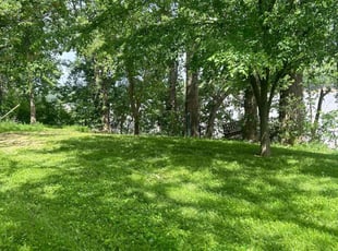 Aubrey B.'s residential landscaping service result