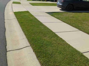 William H.'s turf maintenance service result