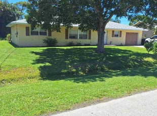 Eva F.'s turf care service result