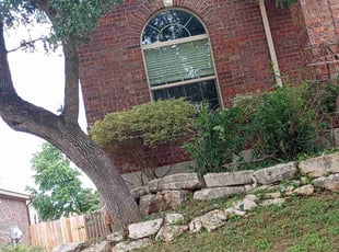 Shyrese M.'s Bush Trimming service result