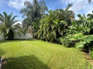 Jackie B.'s grass cutting service result