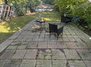 Mark K.'s turf maintenance service result