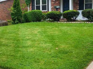 Lashonda S.'s turf maintenance service result