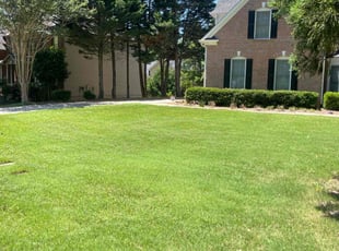 Kimaa W.'s grass maintenance service result