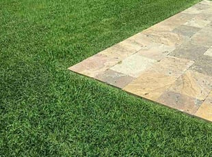 Henry H.'s turf care service result