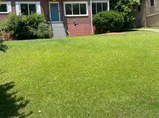 Joel W.'s lawn care service result
